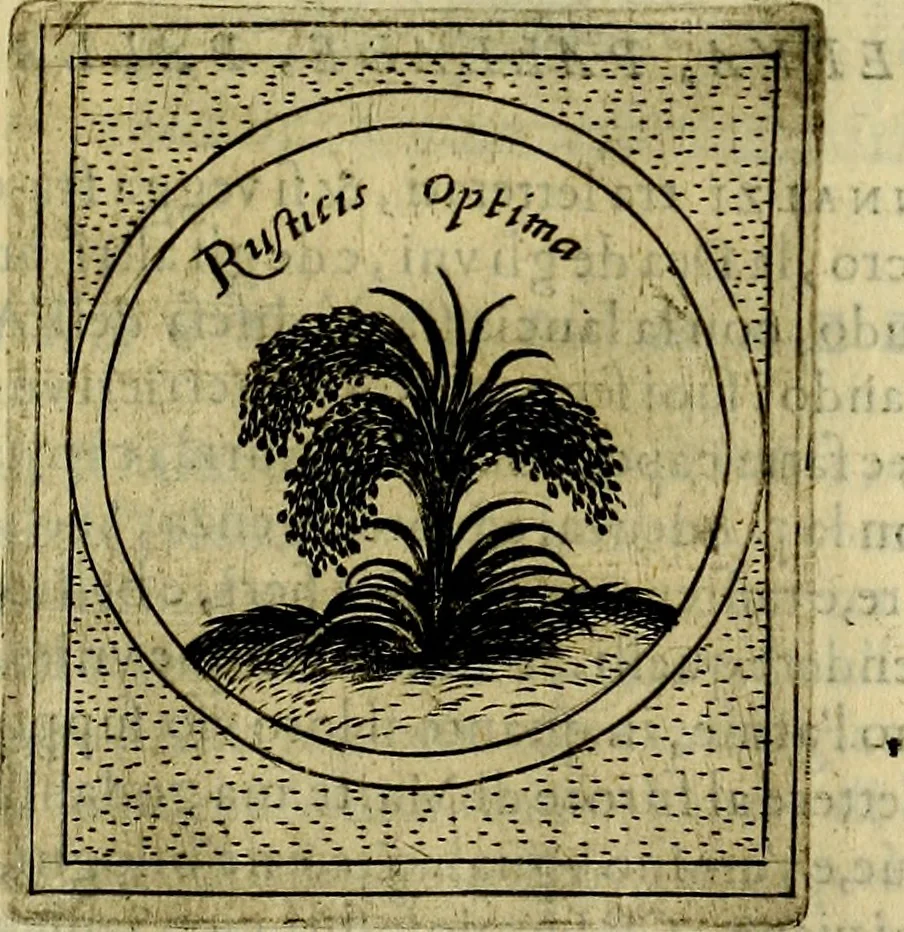 An illustration from Teatro d'imprese, 1623, leaf 668