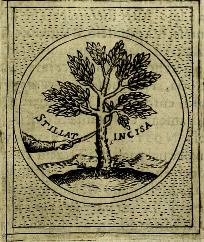 An illustration from Teatro d'imprese, 1623, leaf 672