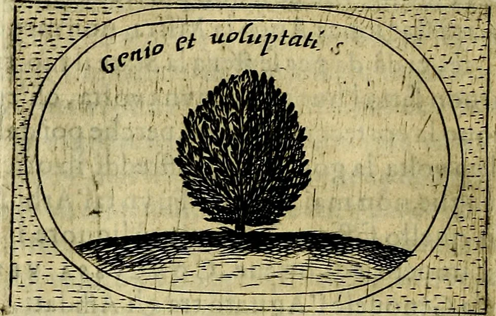 An illustration from Teatro d'imprese, 1623, leaf 673