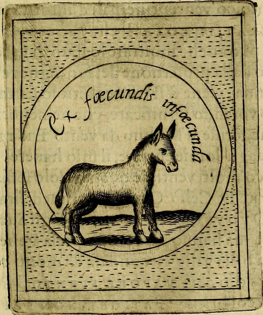 An illustration from Teatro d'imprese, 1623, leaf 688