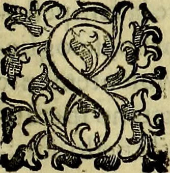 An illustration from Teatro d'imprese, 1623, leaf 690
