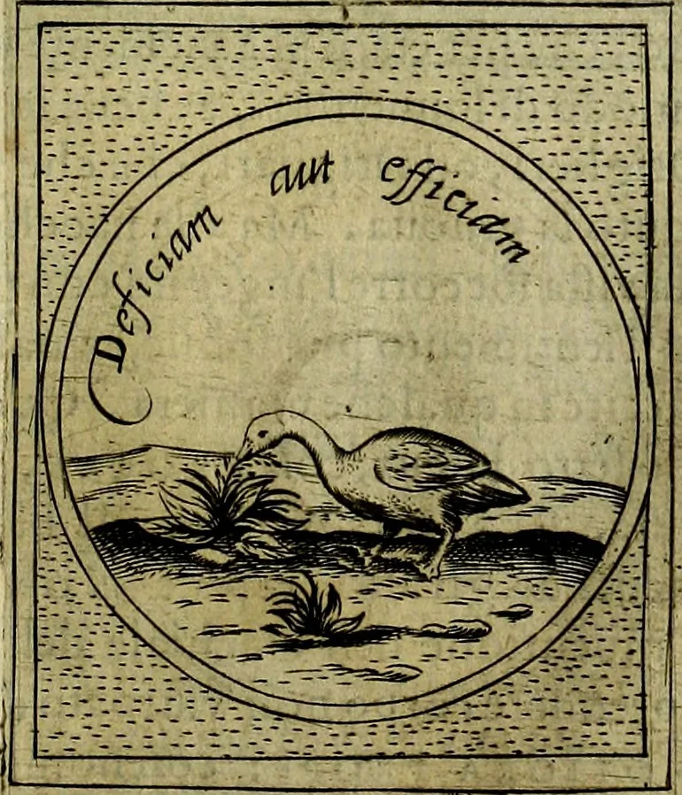 An illustration from Teatro d'imprese, 1623, leaf 704
