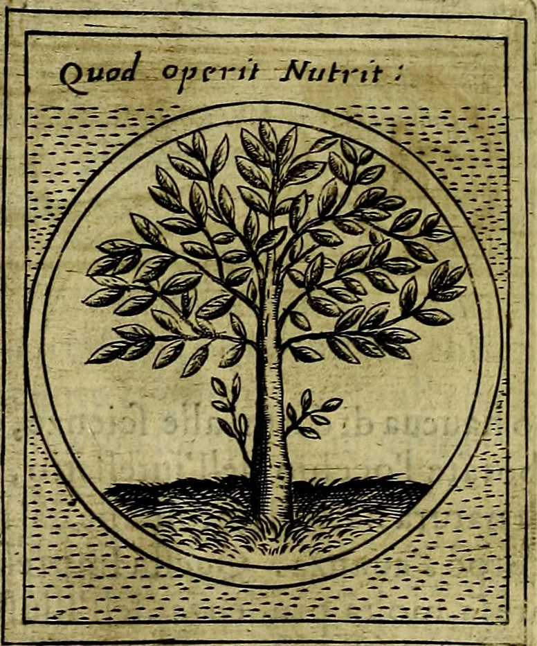 An illustration from Teatro d'imprese, 1623, leaf 707