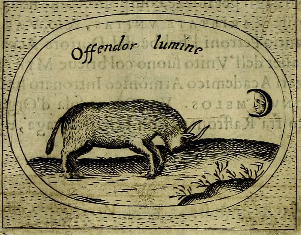 An illustration from Teatro d'imprese, 1623, leaf 711