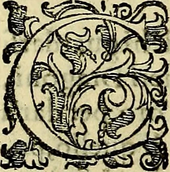An illustration from Teatro d'imprese, 1623, leaf 713