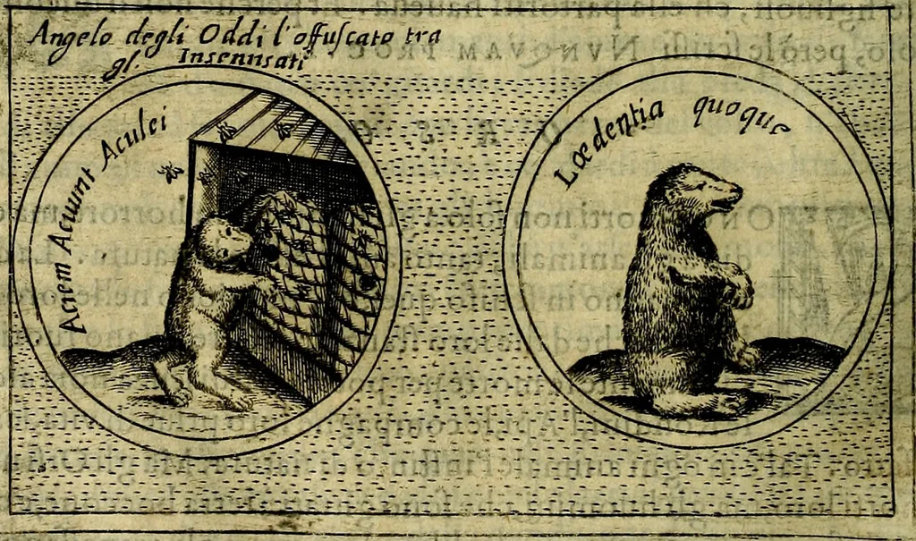 An illustration from Teatro d'imprese, 1623, leaf 715