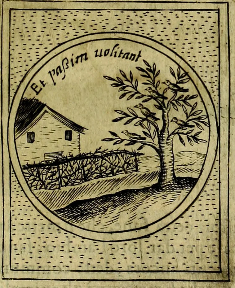 An illustration from Teatro d'imprese, 1623, leaf 726