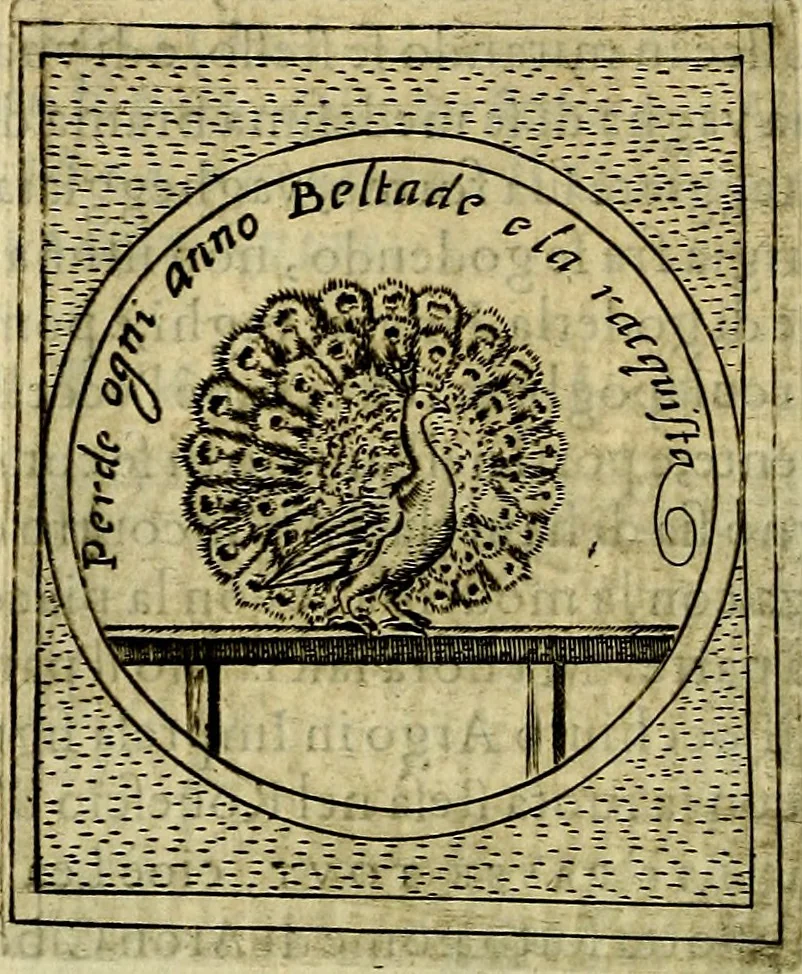 An illustration from Teatro d'imprese, 1623, leaf 729