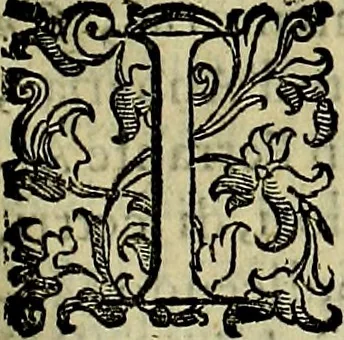 An illustration from Teatro d'imprese, 1623, leaf 730