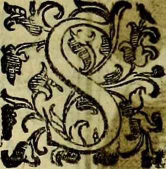 An illustration from Teatro d'imprese, 1623, leaf 736