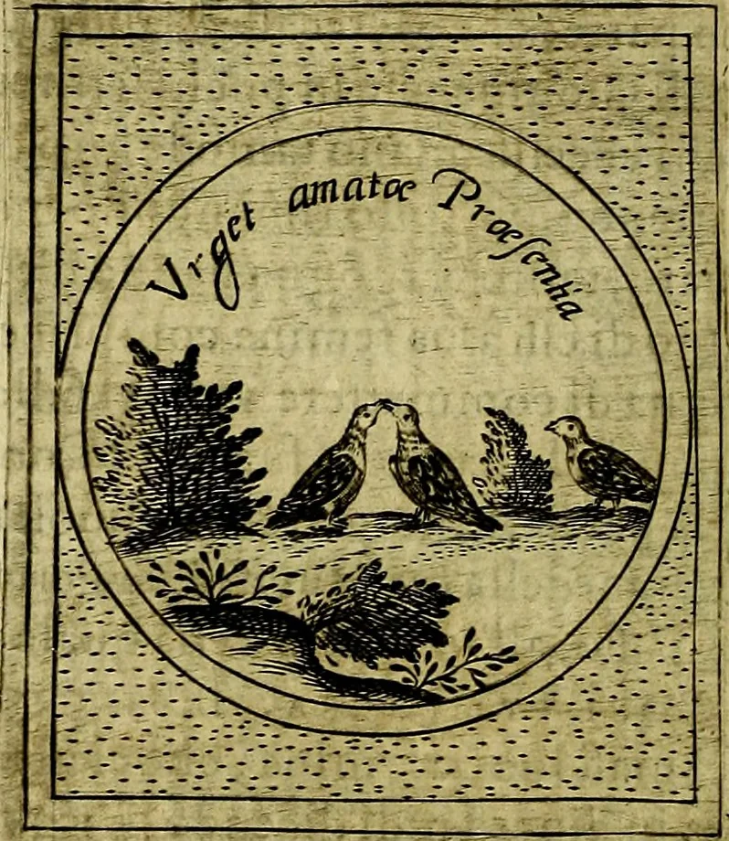 An illustration from Teatro d'imprese, 1623, leaf 739