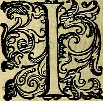 An illustration from Teatro d'imprese, 1623, leaf 739
