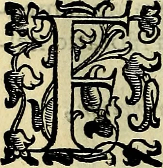 An illustration from Teatro d'imprese, 1623, leaf 749