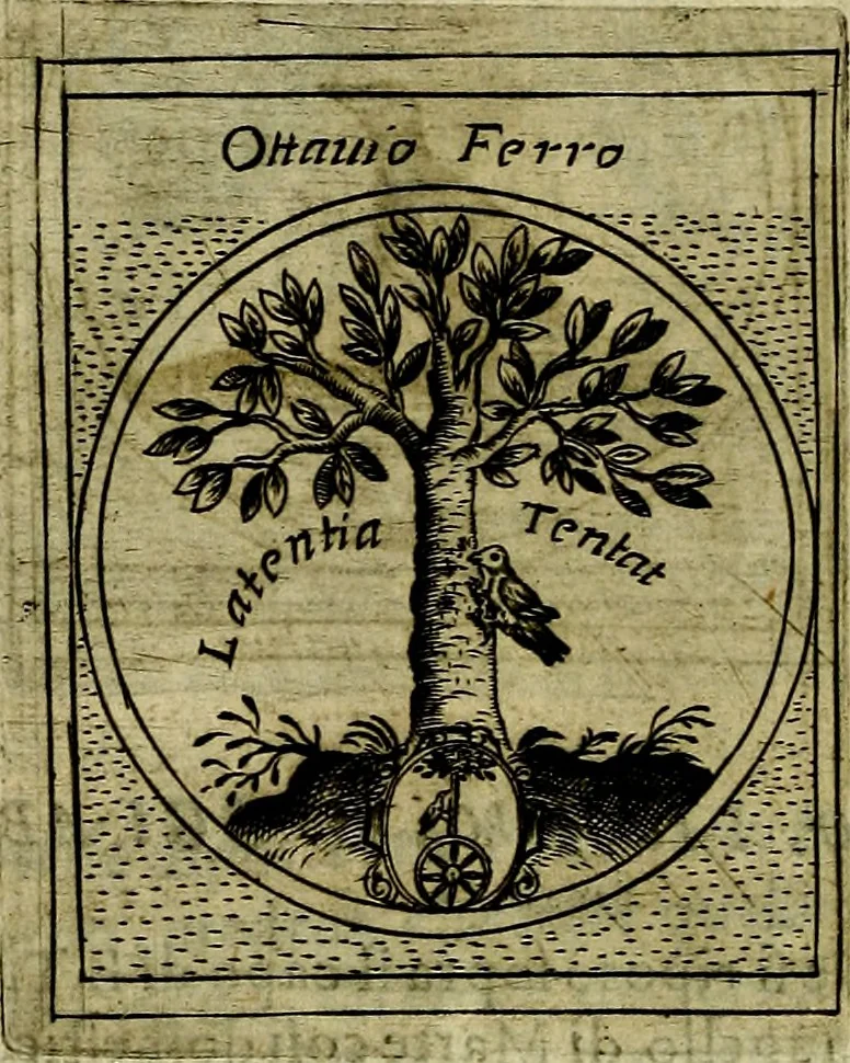 An illustration from Teatro d'imprese, 1623, leaf 753
