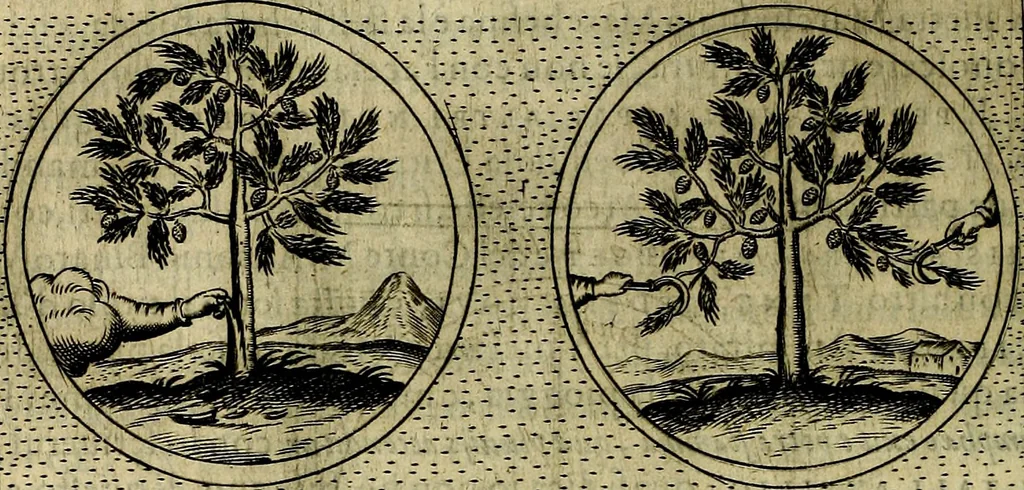 An illustration from Teatro d'imprese, 1623, leaf 757