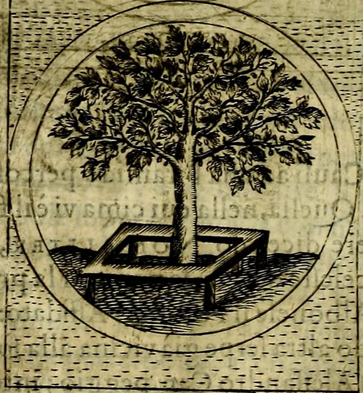 An illustration from Teatro d'imprese, 1623, leaf 761