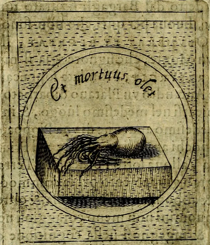 An illustration from Teatro d'imprese, 1623, leaf 763