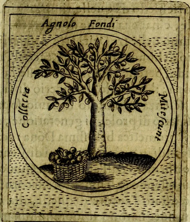 An illustration from Teatro d'imprese, 1623, leaf 764