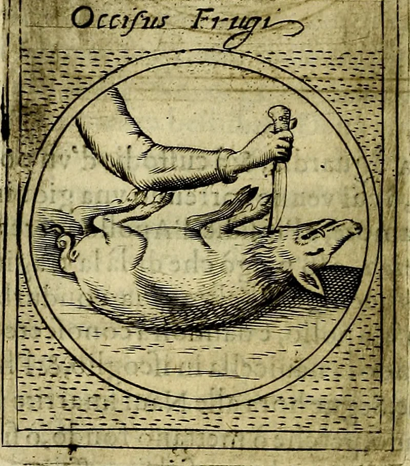 An illustration from Teatro d'imprese, 1623, leaf 767
