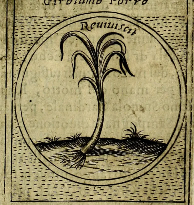 An illustration from Teatro d'imprese, 1623, leaf 768
