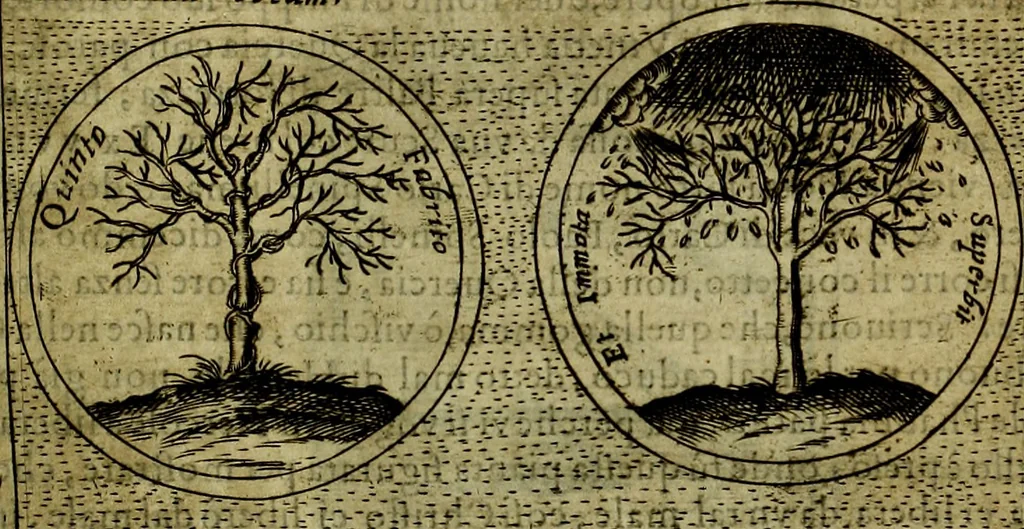 An illustration from Teatro d'imprese, 1623, leaf 774