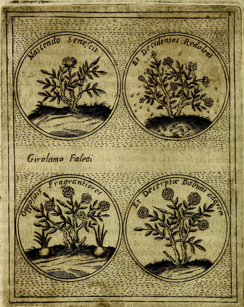 An illustration from Teatro d'imprese, 1623, leaf 787