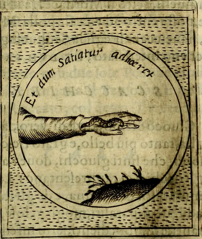 An illustration from Teatro d'imprese, 1623, leaf 796