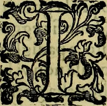 An illustration from Teatro d'imprese, 1623, leaf 796