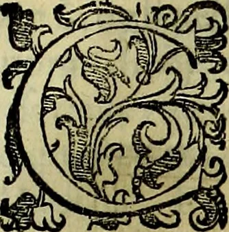 An illustration from Teatro d'imprese, 1623, leaf 802