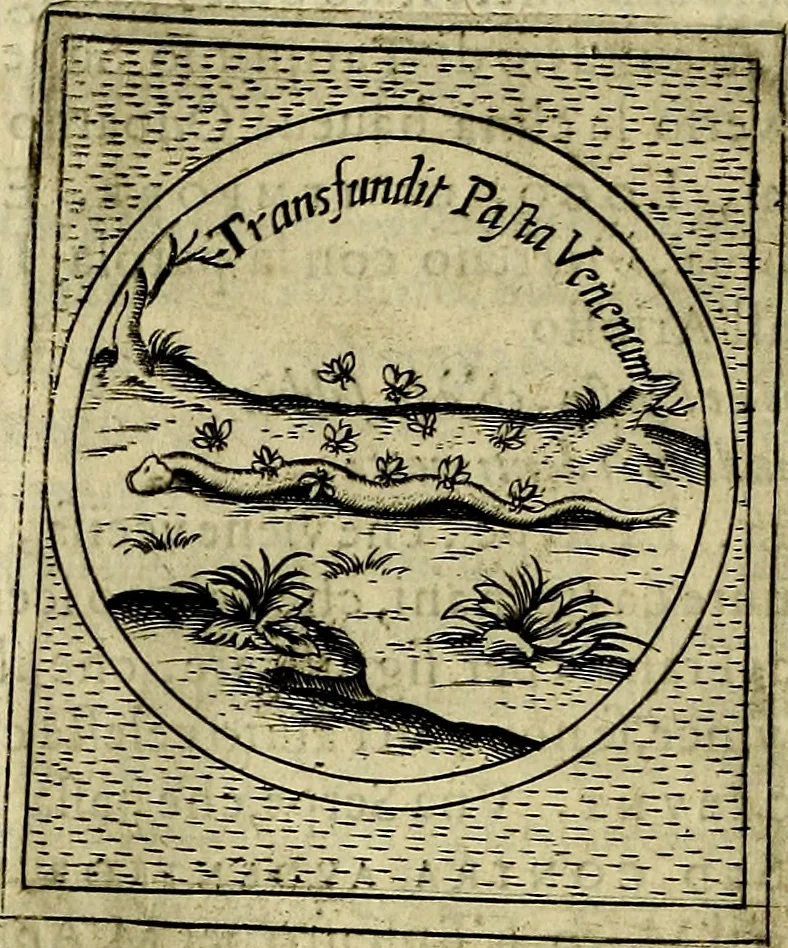 An illustration from Teatro d'imprese, 1623, leaf 815