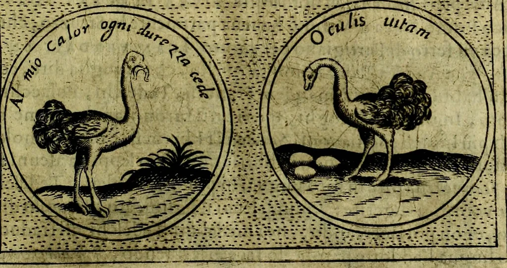 An illustration from Teatro d'imprese, 1623, leaf 860