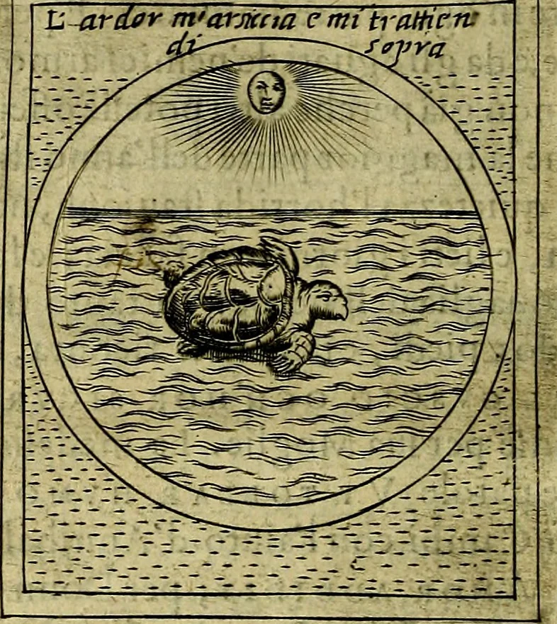 An illustration from Teatro d'imprese, 1623, leaf 873