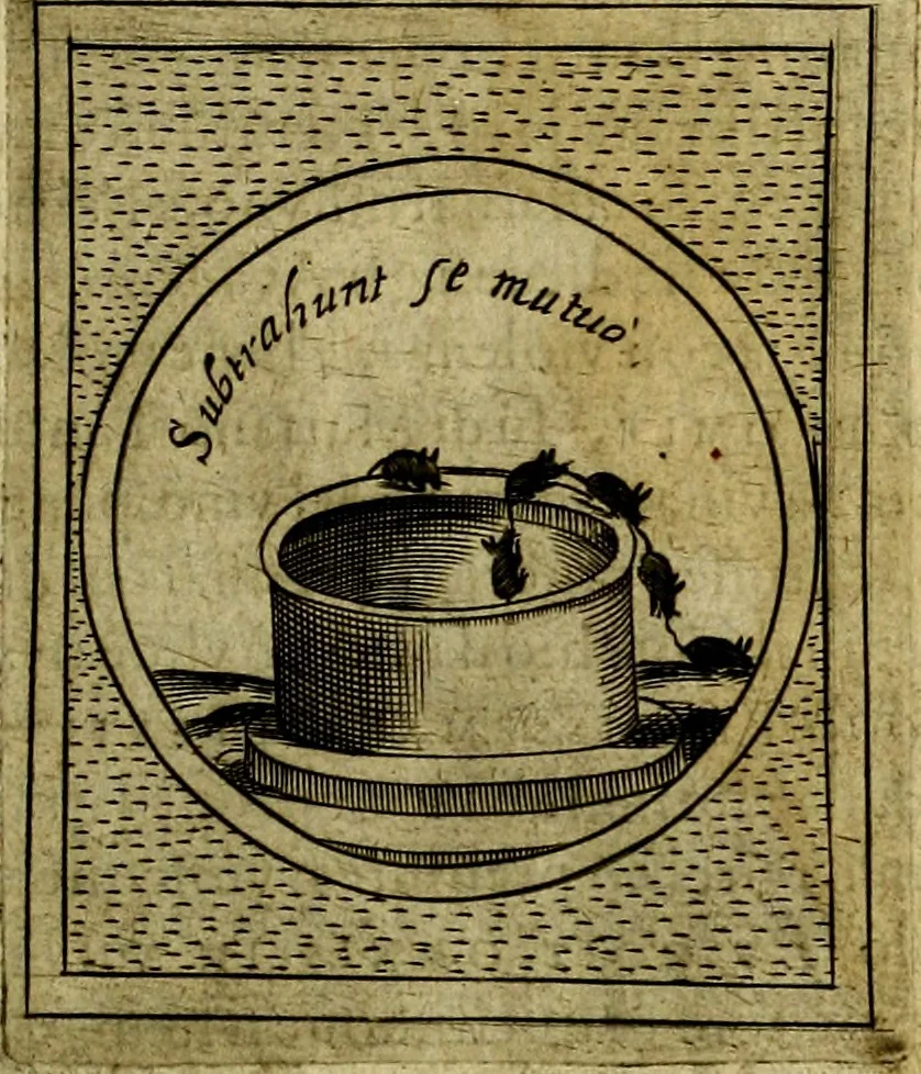 An illustration from Teatro d'imprese, 1623, leaf 876