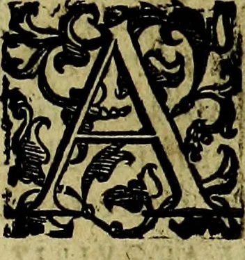 An illustration from Teatro d'imprese, 1623, leaf 876