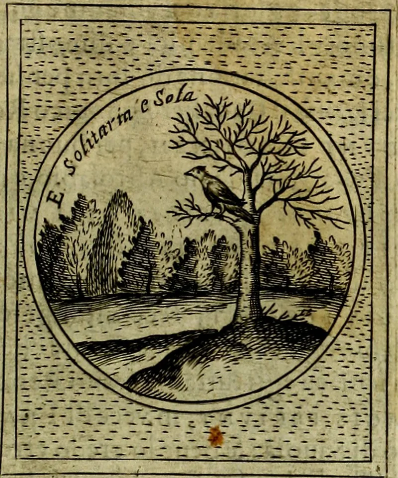An illustration from Teatro d'imprese, 1623, leaf 880
