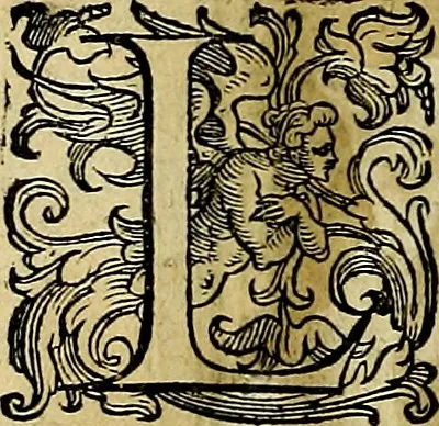 An illustration from Teatro d'imprese, 1623, leaf 883