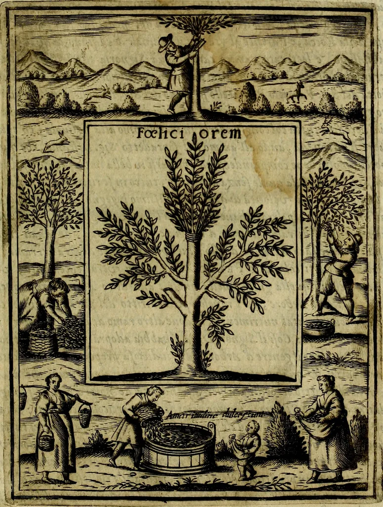 An illustration from Teatro d'imprese, 1623, leaf 904