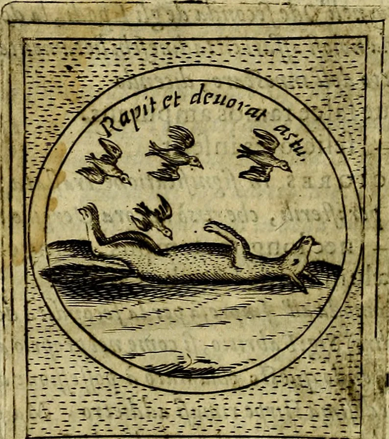 An illustration from Teatro d'imprese, 1623, leaf 907