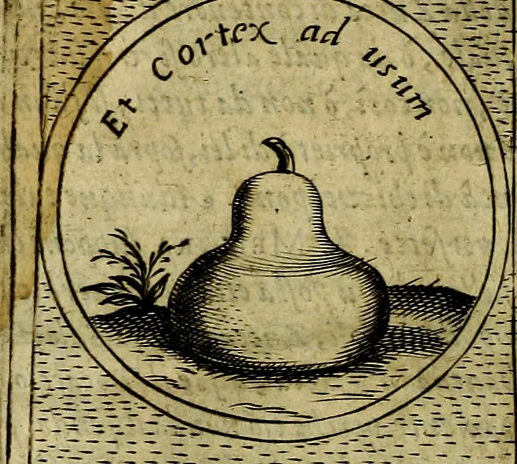 An illustration from Teatro d'imprese, 1623, leaf 911