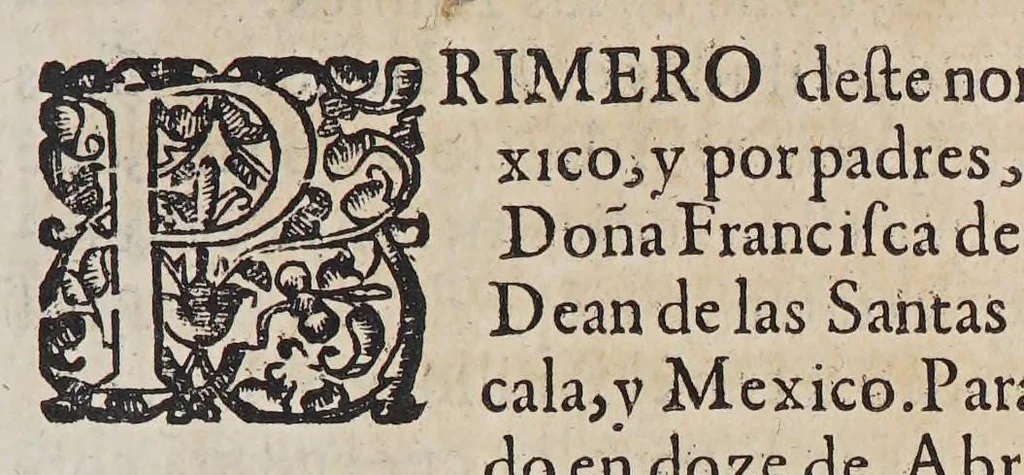 An illustration from Teatro eclesiastico de la primitiua iglesia de las Indias Occidentales, : vidas de sus arzobispos, obispos, y cosas memorables de sus sedes. ..., 1649, leaf 117