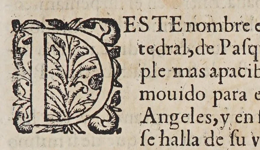 An illustration from Teatro eclesiastico de la primitiua iglesia de las Indias Occidentales, : vidas de sus arzobispos, obispos, y cosas memorables de sus sedes. ..., 1649, leaf 141