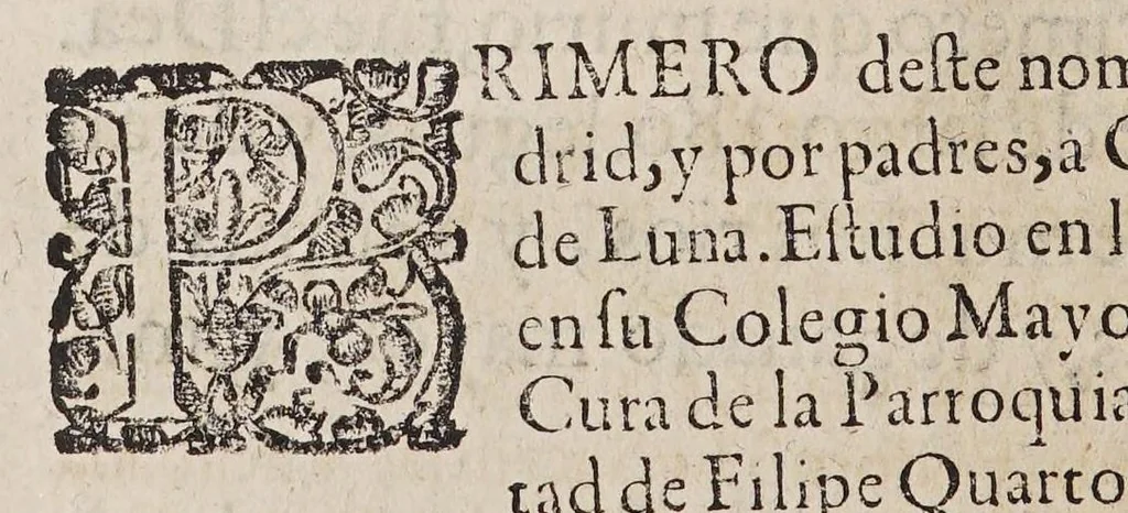 An illustration from Teatro eclesiastico de la primitiua iglesia de las Indias Occidentales, : vidas de sus arzobispos, obispos, y cosas memorables de sus sedes. ..., 1649, leaf 294