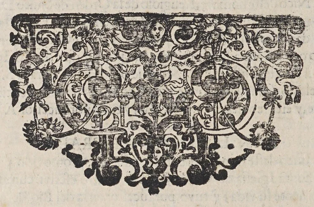 An illustration from Teatro eclesiastico de la primitiua iglesia de las Indias Occidentales, : vidas de sus arzobispos, obispos, y cosas memorables de sus sedes. ..., 1649, leaf 218