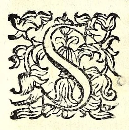 An illustration from Teatro serafico delle stimmate di Christo, impresse nel santo, immaculato, e virginal corpo del glorioso padre san Francesco, 1629, leaf 66