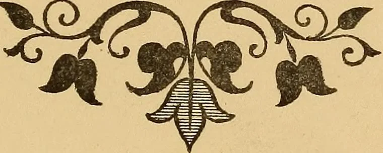An illustration from A technical history of the manufacture of Venetian laces (Venice- Burano) / by G.M. Urbani de Gheltof ; translated by Lady Layard, 1882, leaf 16
