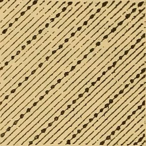 An illustration from A technical history of the manufacture of Venetian laces (Venice- Burano) / by G.M. Urbani de Gheltof ; translated by Lady Layard, 1882, leaf 41