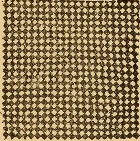 An illustration from A technical history of the manufacture of Venetian laces (Venice- Burano) / by G.M. Urbani de Gheltof ; translated by Lady Layard, 1882, leaf 42