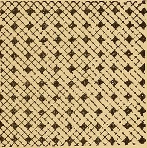 An illustration from A technical history of the manufacture of Venetian laces (Venice- Burano) / by G.M. Urbani de Gheltof ; translated by Lady Layard, 1882, leaf 42
