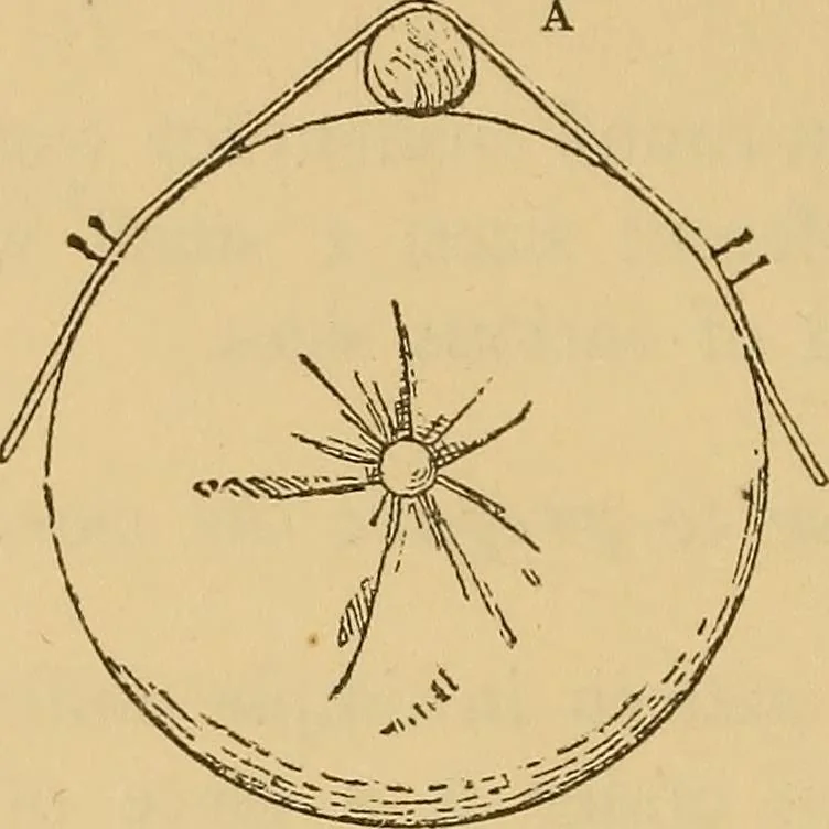 An illustration from A technical history of the manufacture of Venetian laces (Venice- Burano) / by G.M. Urbani de Gheltof ; translated by Lady Layard, 1882, leaf 55