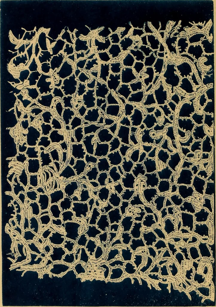 An illustration from A technical history of the manufacture of Venetian laces (Venice- Burano) / by G.M. Urbani de Gheltof ; translated by Lady Layard, 1882, leaf 59